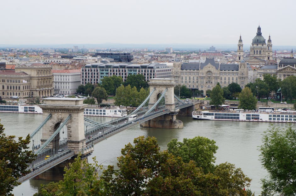 A panoramic daytime view of the Chain Bridge spanning the Danube River in Budapest, Hungary, with the historic cityscape in the background. The bridge features stone towers with decorative archways and suspension cables supporting the roadway, on which several vehicles are visible. The river beneath is calm, with a large white cruise boat docked along the riverbank on the right side, showing windows and deck areas. The foreground includes lush green trees with dense foliage, partially obscuring the lower part of the scene. Behind the bridge, an assortment of classical and modern buildings is visible, including a prominent ornate building with a central dome and twin spires, while the sky above is overcast with soft, diffused light. This urban landscape illustrates the integration of iconic architecture and river transport, relevant to discussions of city infrastructure and alternative approaches to managing urban waste and transport logistics, such as private waste collection and on-site clearance options often associated with professional rubbish removal services like Rubbish Removal Kennington.